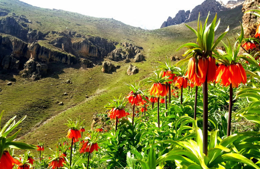 Uyarı geldi! 244 bin lira ceza uygulanacak