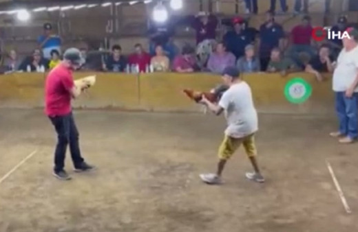 Dövüşe sokulan horozun intikamı! Rakibi yerine sahibine saldırdı binlerce kez izlenen görüntü