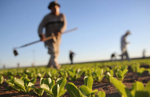 Bakan Vahit Kirişçi duyurdu! Tarımsal destek ödemeleri bugün hesaplara yatırılıyor