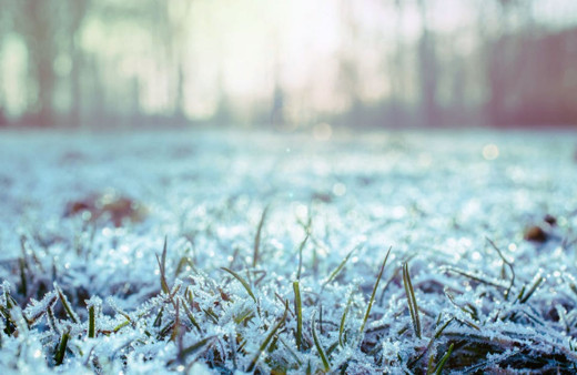 Meteoroloji uyardı: Eskişehir'de zirai don bekleniyor