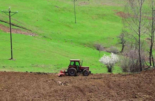 Ordu’da atıl araziler tarımla buluşuyor