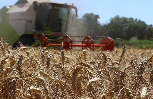 Yurt dışı tarımsal yatırımlar "ülke masaları" ile artıracak