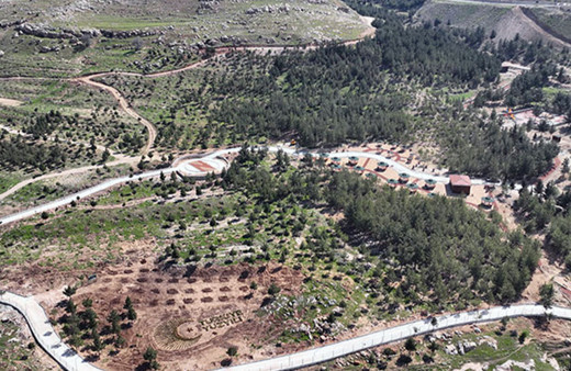 Mardin'de kurulan "millet ormanı"nın birinci etabı tamamlandı