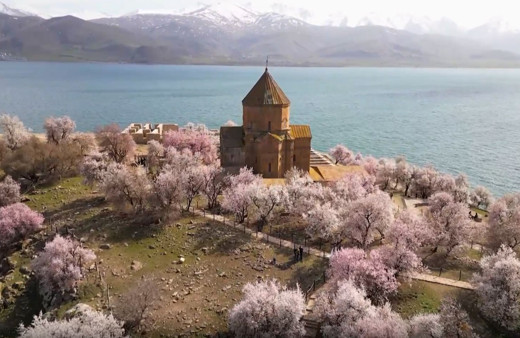 Akdamar Adası'ndan muhteşem görüntüler. Badem ağaçları çiçek açtı