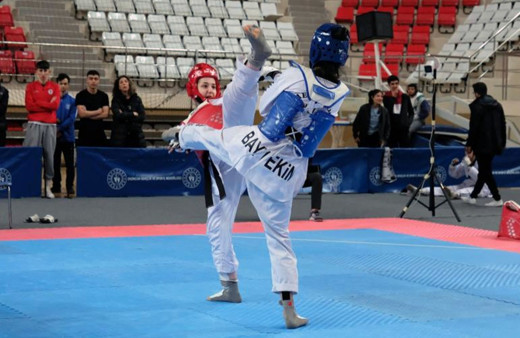 Erzincan'da taekwondo heyecanı sona erdi