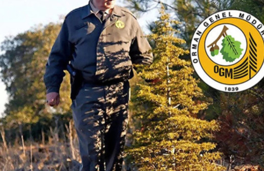 Başvuru tarihi açıklandı! Kadro dağılımı ve şartları belli oldu Tarım ve Orman Bakanlığı 1.377 personel alımı yapacak!