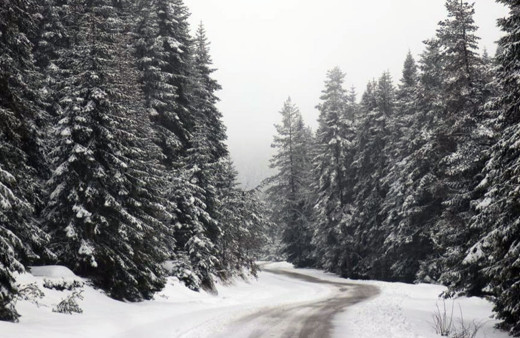Bolu'da Nisan ayında kar sürprizi
