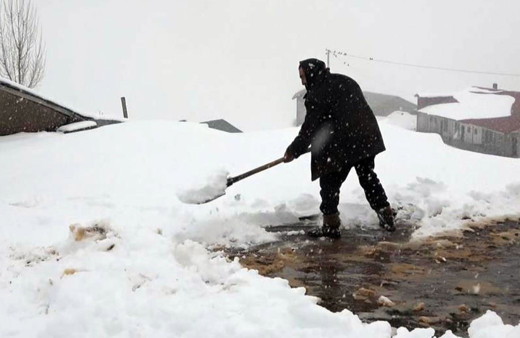 Muş'ta kar geri geldi, hayat felç oldu. Hayvanlar meradan ahırlara alındı