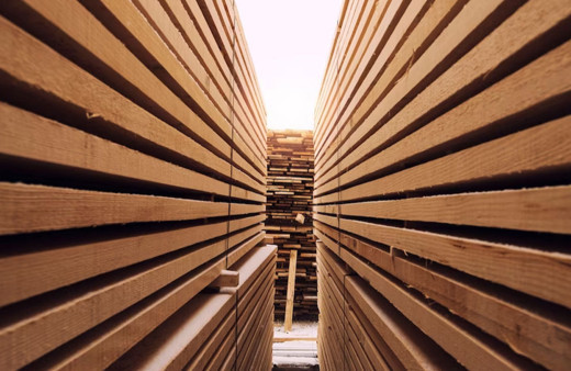 Mobilya, kağıt ve orman ürünleri sektörü deprem bölgesinde yeniden büyümeye geçti