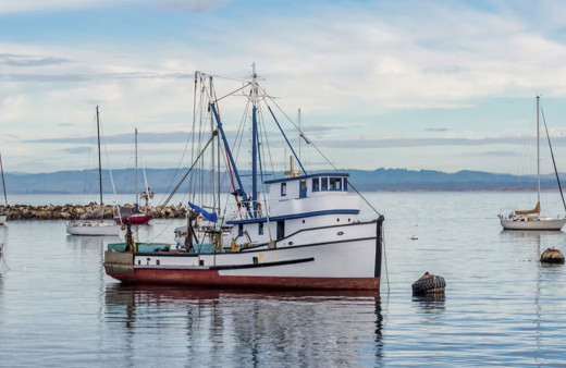 Denizlerde av yasağı başladı