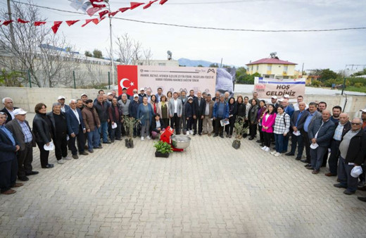 Mersin'de çiftçilere zeytin ve passiflora fidanı desteği