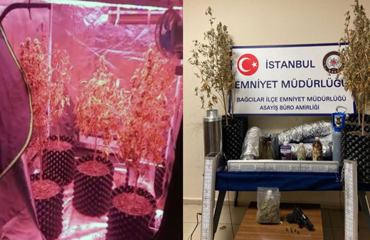 Bez gardırop içinde uyuşturucu yetiştirmişler