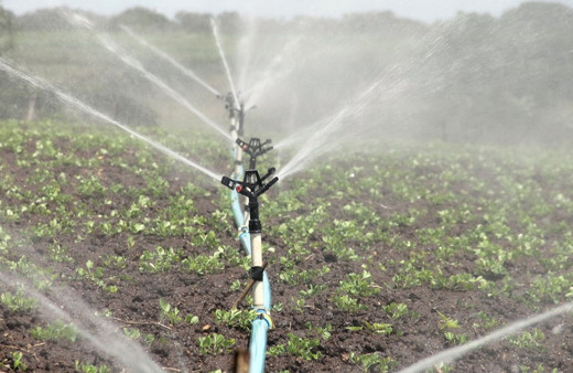 Çiftçilerin tarımsal amaçlı su kullanım hizmet bedelleri yüzde 50 desteklenecek