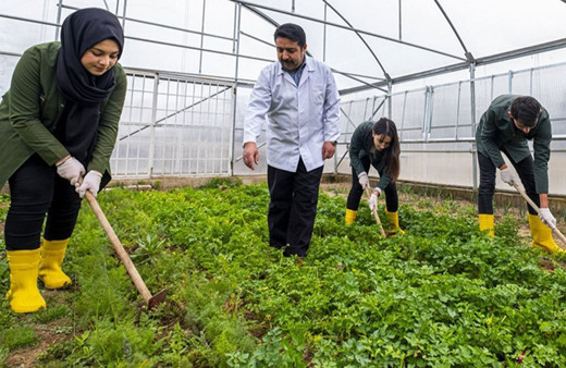 Milli Eğitim Bakanlığı tarım liselerinin sayısını arttırıyor
