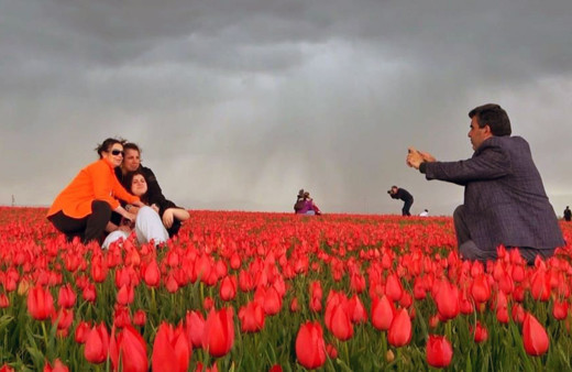 Muş’ta 15 günlük lale devri başladı! Hollanda değil Muş ovası!