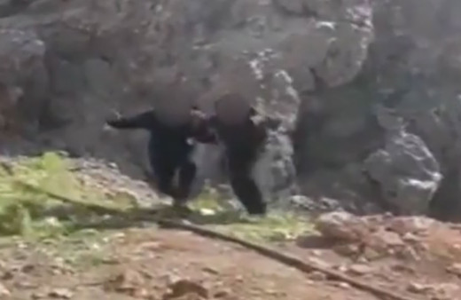 PKK'lı iki terör elebaşı Mehmetçiğe böyle teslim oldu! TSK aman dileyene ateş etmez