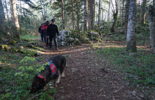  Kastamonu'da 5 gün önce kaybolan turist “cayrokopter” ve 110 personelle aranıyor