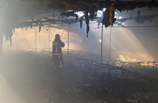 Sakarya'da çiftlikte yangın çıktı! 10 bin tavuk telef oldu!