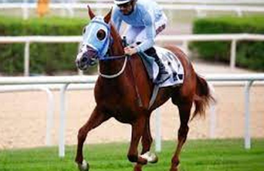 At yarışlarında TBMM Koşusu, Cumartesi günü Ankara'da yapılacak