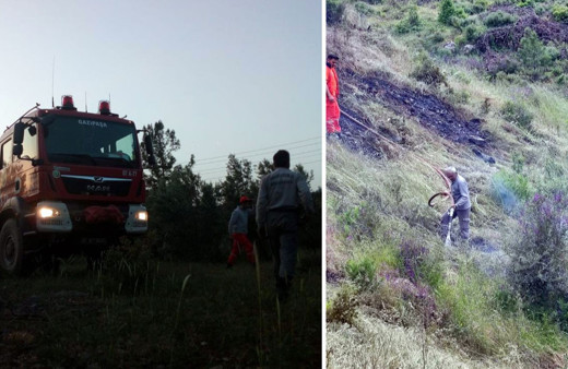 Antalya'da ormanlık alan ve muz bahçesinde yangın çıktı