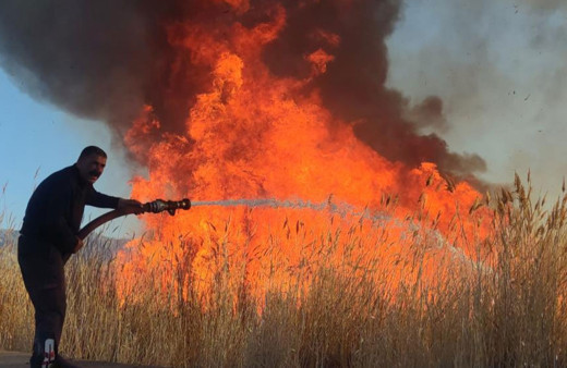 Van'da Erçek sazlığı 3 saat boyunca yandı