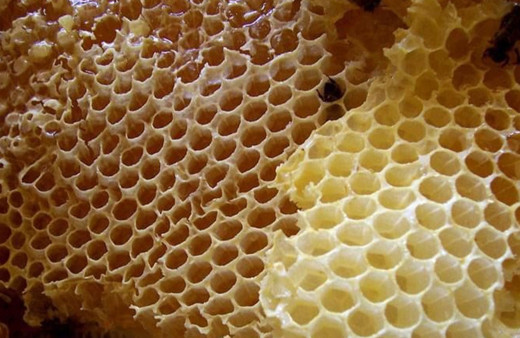 Kozluk mereto balı için coğrafi işaret başvurusu