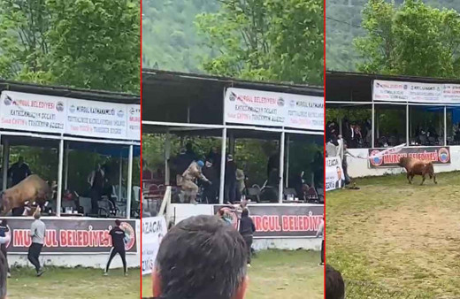 Kızgın boğa dehşet saçtı: Protokol tribününe daldı ortalığı birbirine kattı! O anlar kamerada