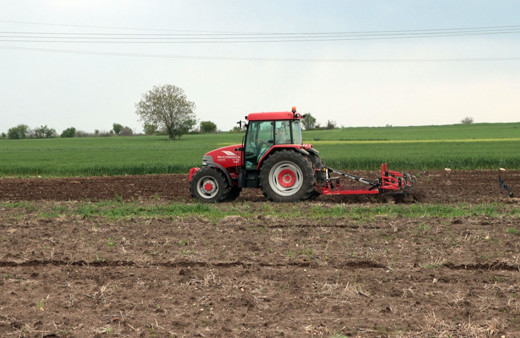 Trakya'da ara verilen ayçiçeği ekimleri yeniden başladı