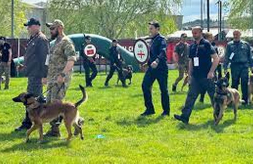 "Uluslararası Narkotik Dedektör Köpekler Şampiyonası" Ankara'da başladı