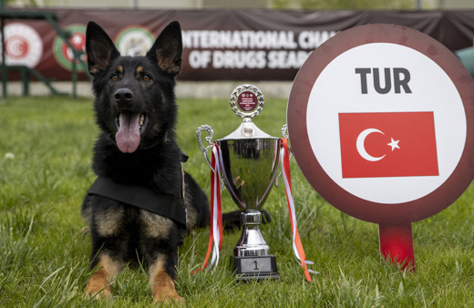 Uluslararası Narkotik Dedektör Köpekler Yarışması’nda 'Nobel' birinci oldu