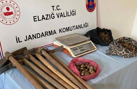 Elazığ’da salep soğanı toplayan 4 kişi yakalandı