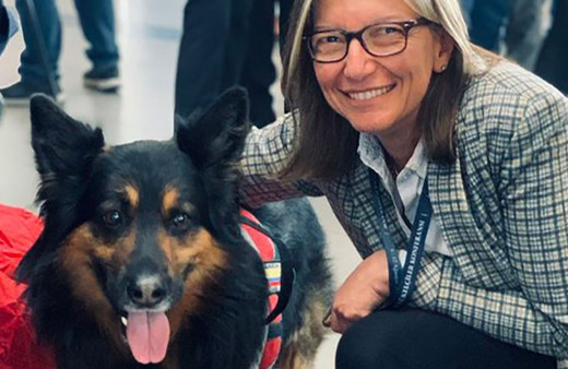 Kahramanmaraş deremi sonrası Kolombiya'dan Türkiye'ye gelen arama kurtarma köpeği "Aaron" öldü