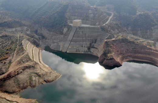 Aydın'da son yağışlar çiftçilerin yüzünü güldürdü