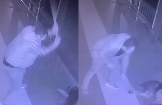 Köpeği önce sever gibi yaptı sonra acımasızca vurdu! Korkunç görüntüler: Sopanın ucu kırıldı!