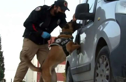 Manisa'da uyuşturucu operasyonu: 66 gözaltı 5 tutuklama