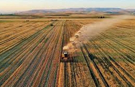 Tarım ÜFE nisanda aylık bazda yüzde 2,32 azalırken yıllık yüzde 71,52 arttı