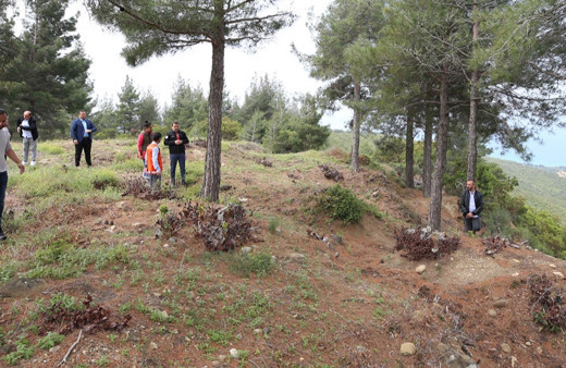 Çanakkale'de 108 yıl sonra bulunan 28. Alay Şehitliği ihya edilecek