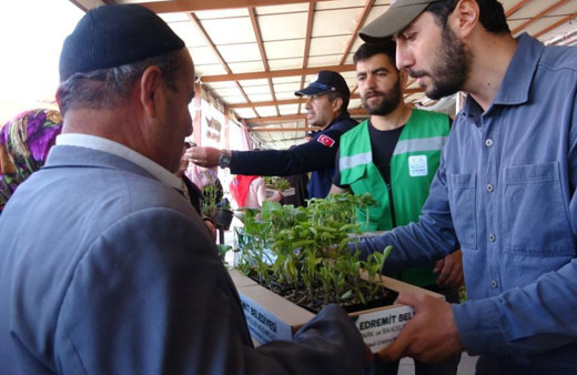 Van Edremit’te çiftçilere 250 bin sebze fidesi dağıtıldı