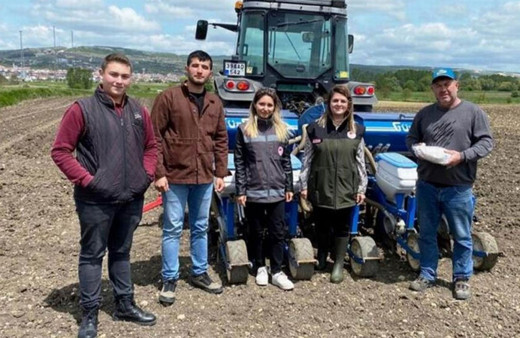 Kırklareli'de yerli ve milli ayçiçeği toprakla buluştu