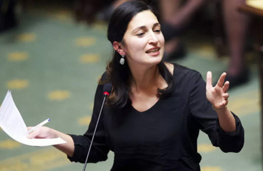 Belçikalı Bakan Zühal Demir Erdoğan'a oy verenler için 'çifte vatandaşlık kaldırılsın' dedi Ömer Çelik'ten tepki geldi