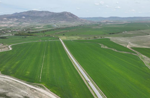 Sivas'ta yağışlarla birlikte umutlar da yeşerdi
