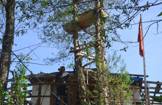 Sivas Şarkışla'da ağaç dalında asılı tabutu görenler şaşkına dönüyor