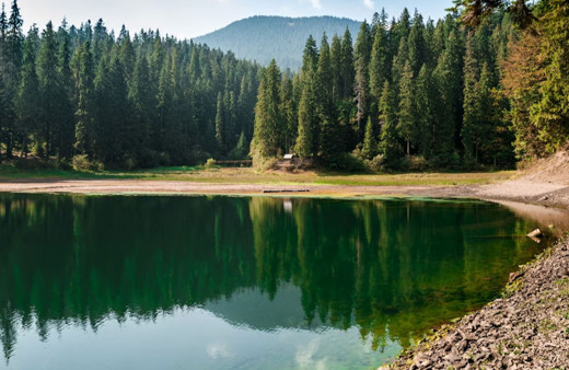 Dünya kuruyor! Son 30 yılda dünyadaki büyük göllerin yüzde 53'ü küçüldü