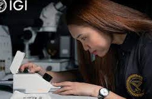 Blackstone, merkezi Belçika'da bulunan Uluslararası Gemoloji Enstitüsü'nü aldı