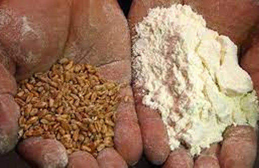 Un sektöründe küresel riskler KKTC'de ele alınacak