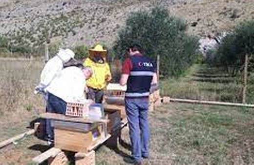 TİKA'dan Karadağ'da arıcılığın gelişimine destek