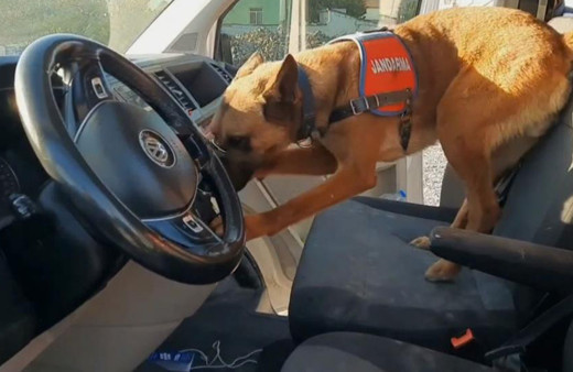 Narkotik köpeği 'Yalman' vites kutusundaki uyuşturucuyu buldu