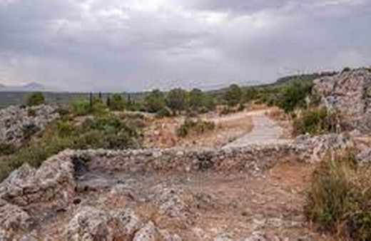 Antalya'da 450 dönümlük "millet ormanı" kurulacak