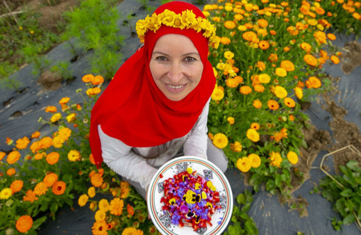 Bu çiçekler yenilebiliyor! Sterssiz bir hayat mümkün! İşte harika görüntüler!