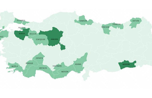 Millet ormanları hızla tamamlanıyor! Sayısı bu yıl 19'a çıkacak